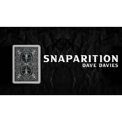 Dave Davies - Snaparition