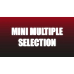 Mini Multiple Selection by Craig Petty
