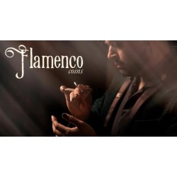Flamenco Coins by Brendan Rodrigues
