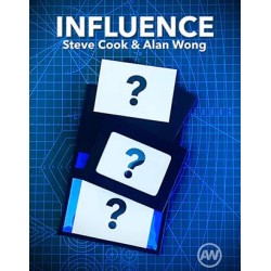 Influence by Steve Cook and Alan Wong