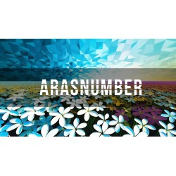 Arasnumber by Negan
