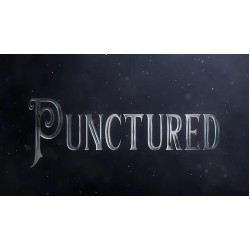 Punctured by Eric Bedard