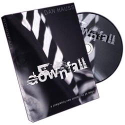 Downfall by Dan Hauss