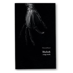 Nimrod Harel - Shalosh - Stage Work