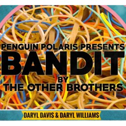 BANDIT by Darryl Davis & Daryl Williams