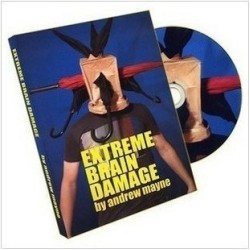 Extreme Brain Damage by Andrew Mayne