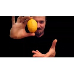 Platinum Bill In Lemon by Dominic