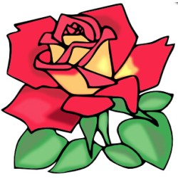 ROSES FOR HER By NubzMagic