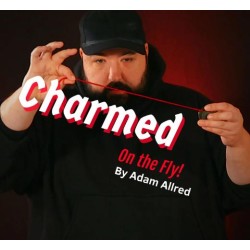 Charmed on the Fly by Adam Allred