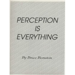 Perception is Everything by Bruce Bernstein