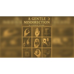 A Gentle Misdirection by Landon Stark