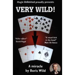 Boris Wild - Very Wild (2003)