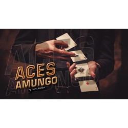 Aces Amungo by Liam Montier