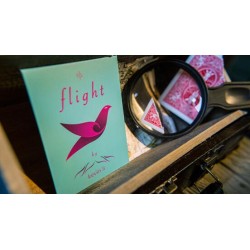 Flight by Kevin Li