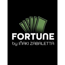 Fortune (Bill Production) by Inaki Zabaletta