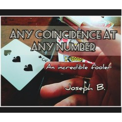 ANY COINCIDENCE AT ANY NUMBER By Joseph B