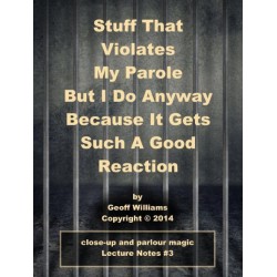 Stuff That Violates My Parole by Geoff Williams