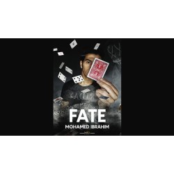 Fate by Mohamed Ibrahim