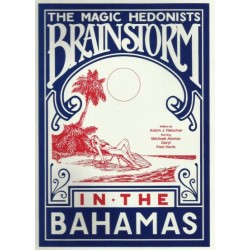 Brainstorm in the Bahamas