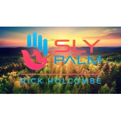 Sly Palm by Rick Holcombe