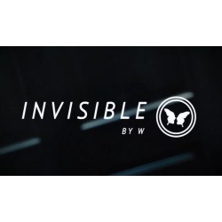 Invisible by W