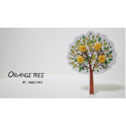 Orange Tree by Hugo Choi
