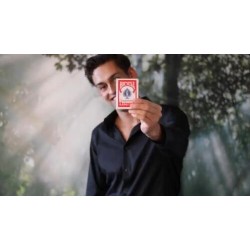 Boxed by Blake Vogt