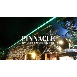 Pinnacle by Brian Caswell