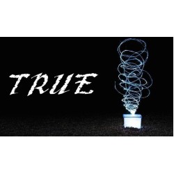 True by Mr.K