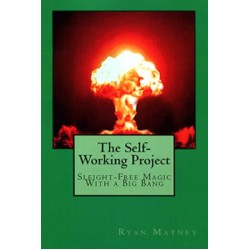 The Self-Working Project by Ryan Matney