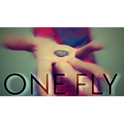One Fly by Alessandro Criscione