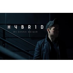 HYBRID by Danny Weiser
