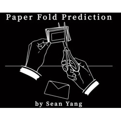 Paper Fold Prediction by Sean Yang