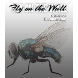 Fly On The Wall
