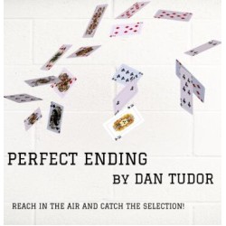 Perfect Ending by Dan Tudor