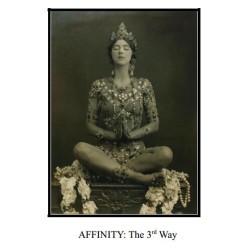 The 3rd Way by Paul Voodini