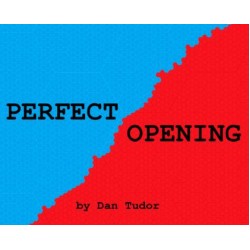 Perfect Opening by Dan Tudor