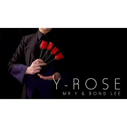 Y-Rose by Mr.Y