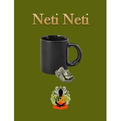 Neti Neti by Sudo Nimh