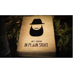 In Plain Sight by Matt Johnson