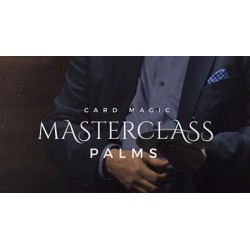 Card Magic Masterclass (Palms) by Roberto Giobbi