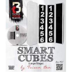 Smart Cubes Red by Taiwan Ben