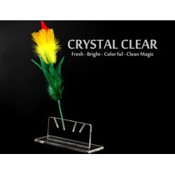 CRYSTAL CLEAR by Sumit Chhajer