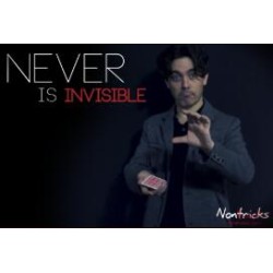 Never is Invisible by Kiko Pastur
