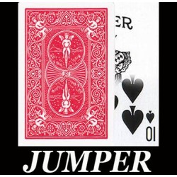 Jumper by Rama Yura