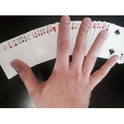 The Andrich Reverse a'CAAN by Paul Andrich