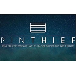 Pin Thief by Jamie Daws