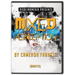 Mixed Perception by Cameron Francis