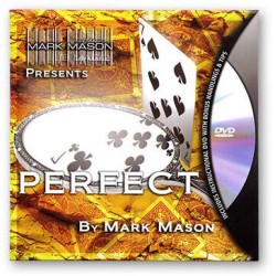 Perfect by Mark Mason