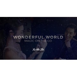 Wonderful World